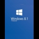 Buy Windows 8.1 Professional Global MS CD Key and Compare Prices