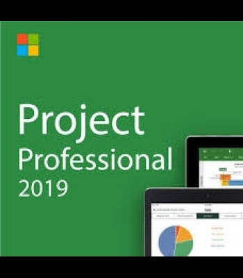 Buy Project Professional 2019 for 2 PC Global MS CD Key and Compare Prices