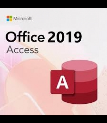 Buy Access Professional 2019 Global MS CD Key and Compare Prices