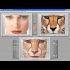 Buy Abrosoft FantaMorph 5 - Deluxe Photo Morphing Global Software CD Key and Compare Prices