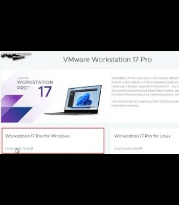 Buy Windows 10 Professional 2 PC Global MS CD Key and Compare Prices