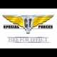 Buy CT Special Forces: Fire for Effect Global CD Key and Compare Prices