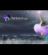 Buy ParticleShop and 11 Brush Global CD Key and Compare Prices