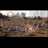 Buy Droid Assault Global CD Key and Compare Prices