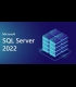 Buy MS SQL Server 2022 Global MS CD Key and Compare Prices