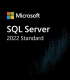 Buy MS SQL Server 2022 Standard - 5 Users Global MS CD Key and Compare Prices