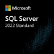 Buy MS SQL Server 2022 Standard - 5 Users Global MS CD Key and Compare Prices