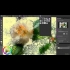 Buy Corel Painter Essentials 7 Windows Global Software CD Key and Compare Prices