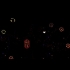 Buy Angry Space Bees Global CD Key and Compare Prices
