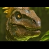 Buy ARK: Survival Evolved Global CD Key and Compare Prices
