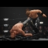 Buy AEW: Fight Forever Elite Edition Global CD Key and Compare Prices