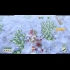 Buy Cannon Fodder 3 Global CD Key and Compare Prices
