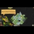 Buy Crowntakers Global CD Key and Compare Prices