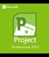 Buy Project Professional 2010 Global MS CD Key and Compare Prices