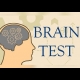 Buy Brain Test Global CD Key and Compare Prices