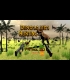 Buy Dinosaur Hunting Patrol 3D Jurassic VR Global Steam Gift CD Key and Compare Prices