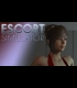 Buy Escort Simulator Global Steam Gift CD Key and Compare Prices