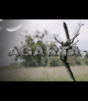 Buy Agarta Global CD Key and Compare Prices