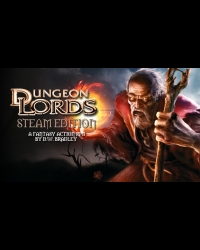 Buy Dungeon Lords Steam Edition EU CD Key and Compare Prices