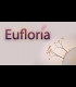 Buy Eufloria Global CD Key and Compare Prices