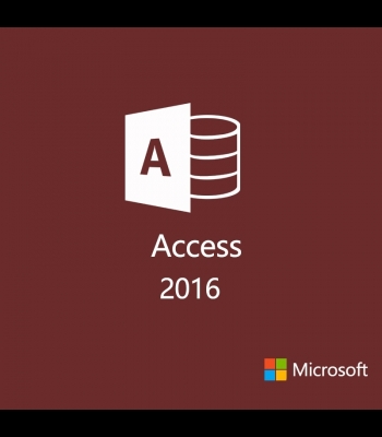 Buy Access Professional 2016 Global MS CD Key and Compare Prices