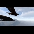 Buy Aquila Bird Flight Simulator Global CD Key and Compare Prices