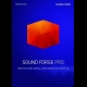 Buy Magix Sound Forge Pro 12 Global Software CD Key and Compare Prices