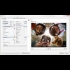 Buy XnSoft: XnConvert Bulk Image Converter Global CD Key and Compare Prices