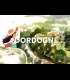 Buy Dordogne Global CD Key and Compare Prices
