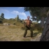Buy Rust - Steam Account Global CD Key and Compare Prices