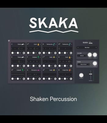 Buy Klevgrand: Skaka Shaken Percussion Global CD Key and Compare Prices