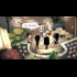 Buy Children of Silentown Global CD Key and Compare Prices