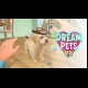 Buy Dream Pets VR Global CD Key and Compare Prices