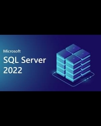 Buy MS SQL Server 2022 Standard - 10 Core Global MS CD Key and Compare Prices