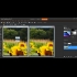 Buy Corel PaintShop Pro x7 Global Software CD Key and Compare Prices