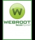 Buy Webroot Secure Anywhere Antivirus 2021 6 Months 3 Dev Global Software CD Key and Compare Prices