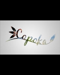 Buy Copoka Global CD Key and Compare Prices
