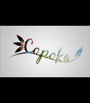 Buy Copoka Global CD Key and Compare Prices