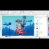 Buy CorelDRAW Standard 2020 for Windows Lifetime 2 Dev Global Software CD Key and Compare Prices