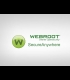 Buy Webroot Secure Anywhere Antivirus 2022 6 Months 3 Dev Global CD Key and Compare Prices