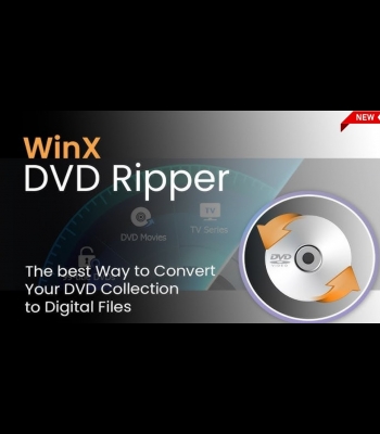 Buy WinX DVD Ripper Platinum 1 Year 3 PC Global CD Key and Compare Prices