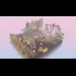 Buy Cloud Gardens Global CD Key and Compare Prices
