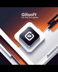 Buy Gilisoft Full Disk Encryption Global Software CD Key and Compare Prices
