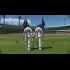 Buy Cricket 22 Global Steam Gift CD Key and Compare Prices