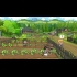 Buy Echoes of the Plum Grove Global Steam Gift CD Key and Compare Prices