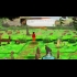 Buy Aurion: Legacy of the Kori-Odan Global CD Key and Compare Prices