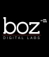 Buy Boz Digital Labs - The Hoser 2 Global CD Key and Compare Prices