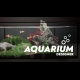 Buy Aquarium Designer Global CD Key and Compare Prices