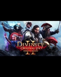 Buy Divinity: Original Sin 2 Definitive Edition EU Steam Gift CD Key and Compare Prices