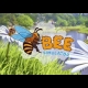 Buy Bee Simulator Global CD Key and Compare Prices